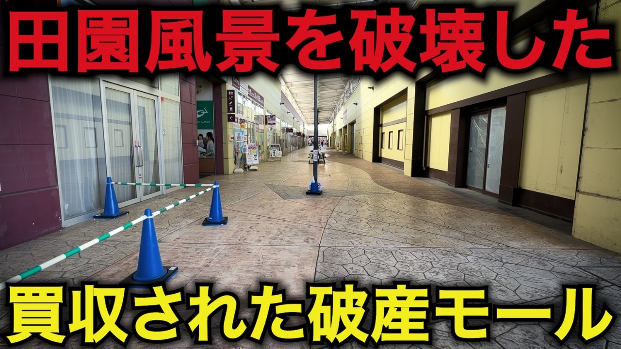 【ゴーストモール】環境破壊してまで作ったのに空き区画だらけ…頼みの再開発は全く進まず住民の不満が爆発、フードコートはマクド以外全滅した「ビバモール加須」