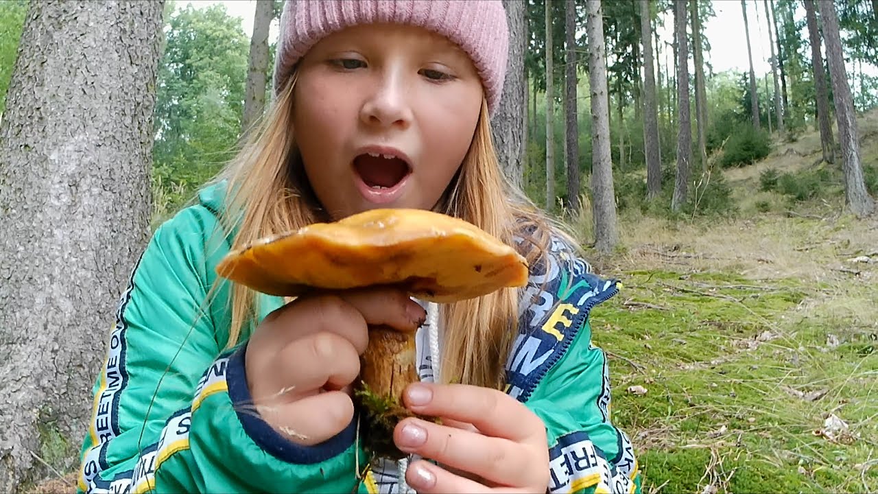 Mushroom Picking 🌲🍄🥘