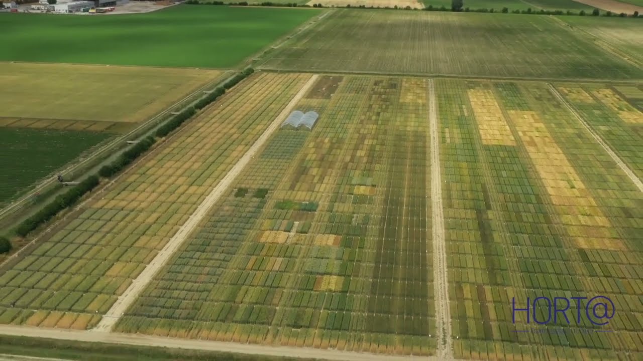 Horta Drone Field trials