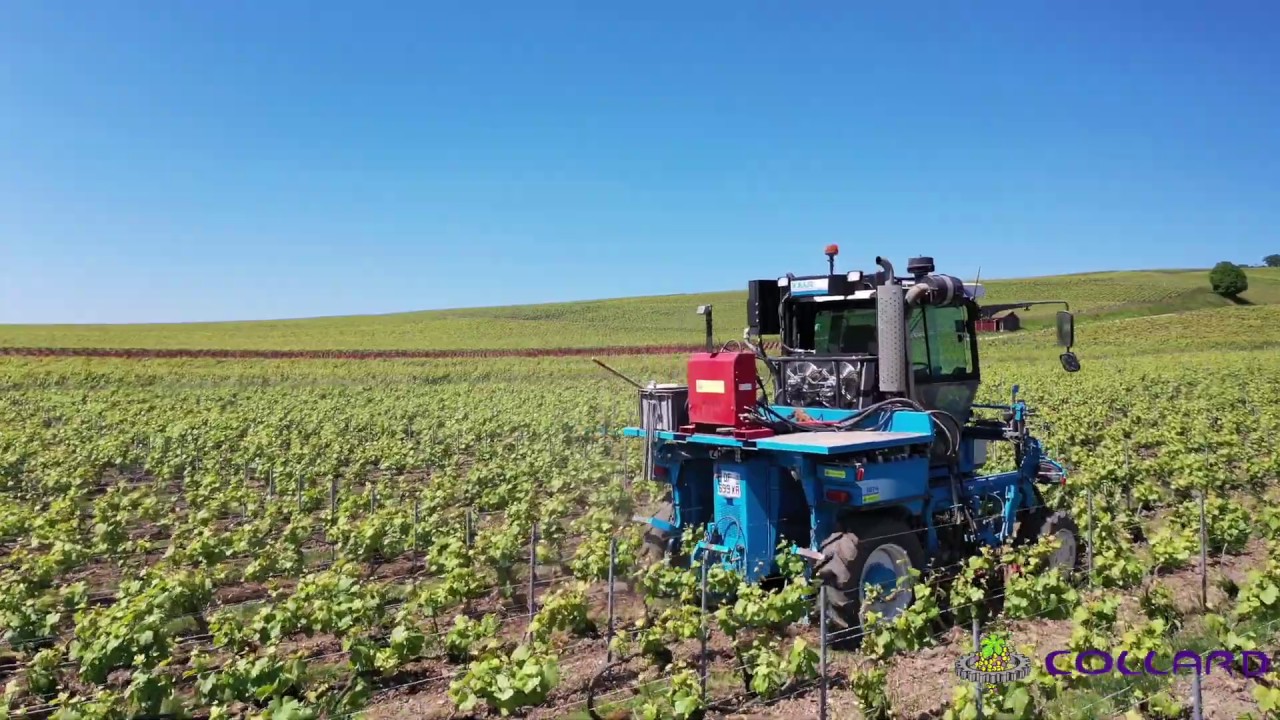 Travail du sol en Champagne avec COLLARD