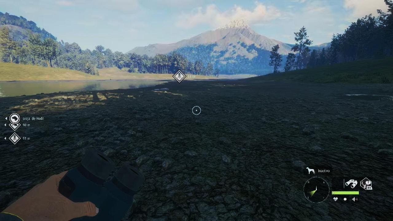 theHunter: Call of wiid finaly