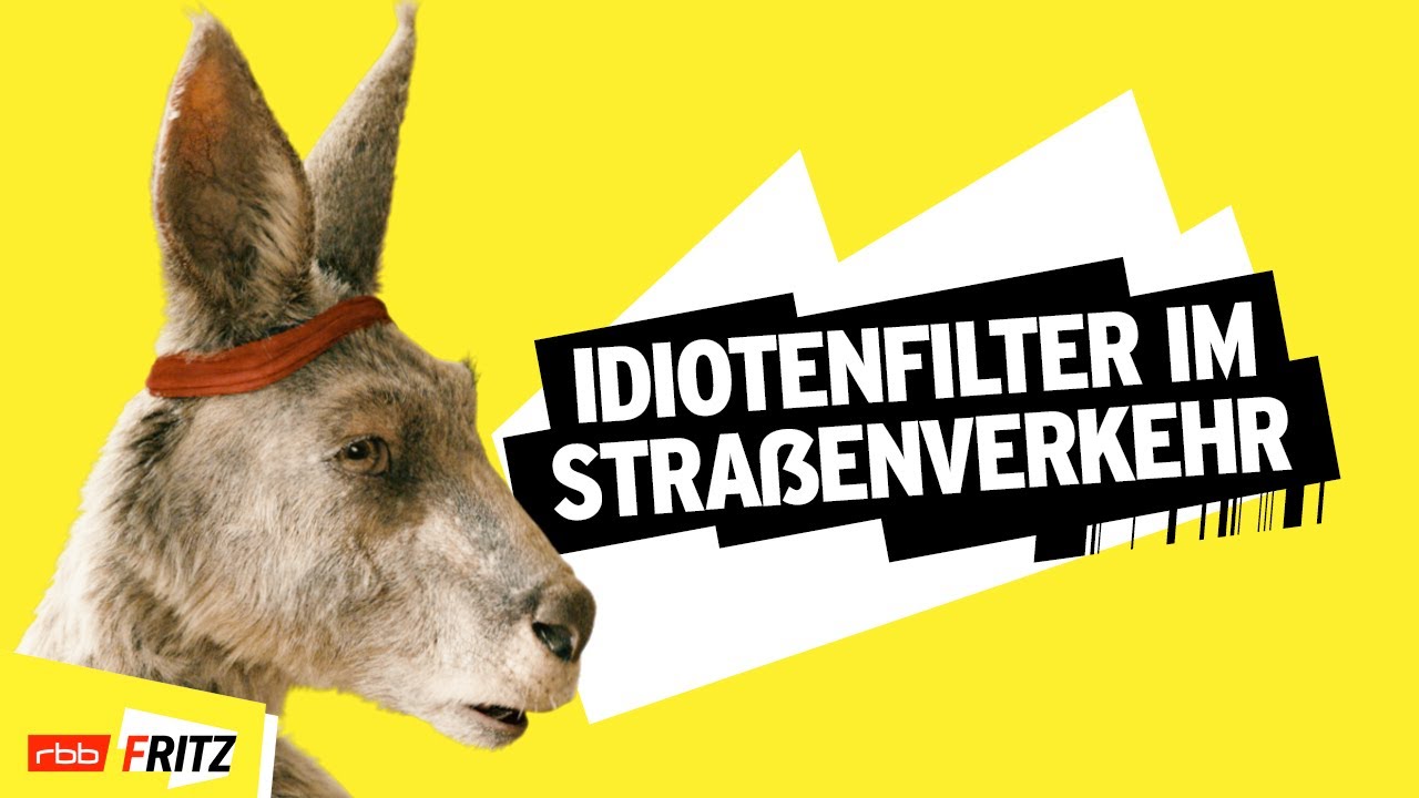 Relative Idiotendichte | Neues vom Känguru reloaded | Marc-Uwe Kling | Känguru-Chroniken-Storys