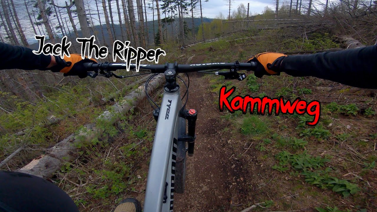 Shredden bis zum Umfallen | Trailpark Harz | Enduro MTB