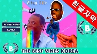 6초웃긴영상 Top 바인 트랜드 / 유행어 모음 [한글자막] Best Top Trends of Vines Compilation | Korean Subtitle