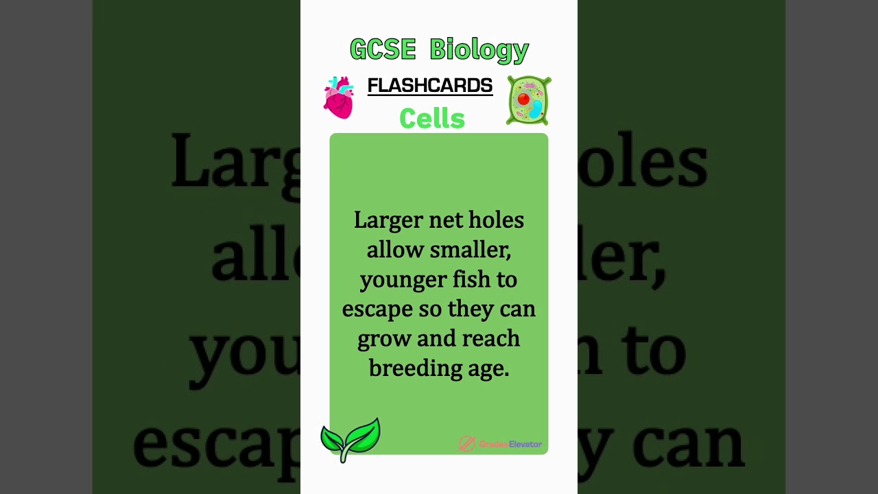 Cell biology revision flashcards GCSE  #education #revision #combinedscience