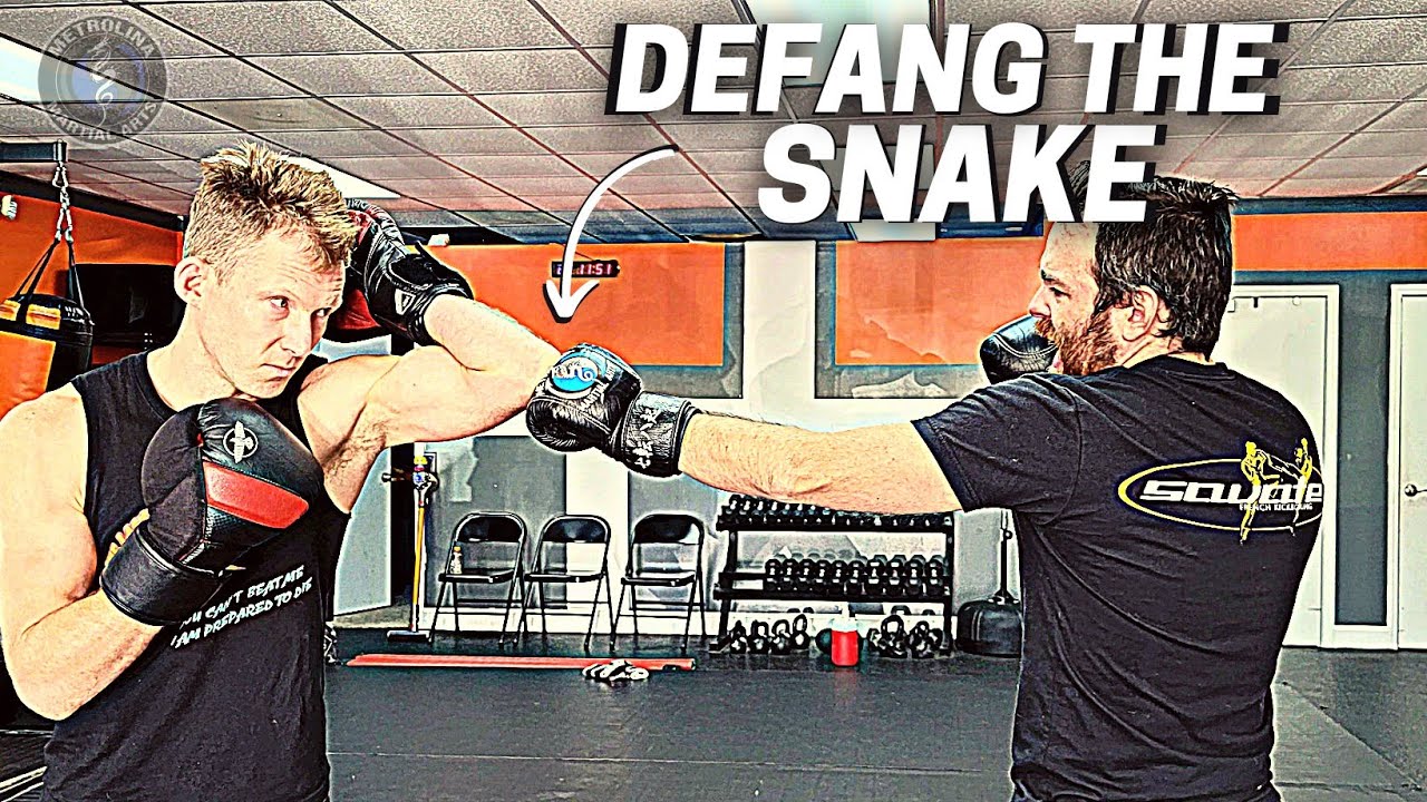 Defanging the Snake in Combat Sports & Self-Defense w/ @GabrielVargaOfficial  @hard2hurt  @sacredboxing