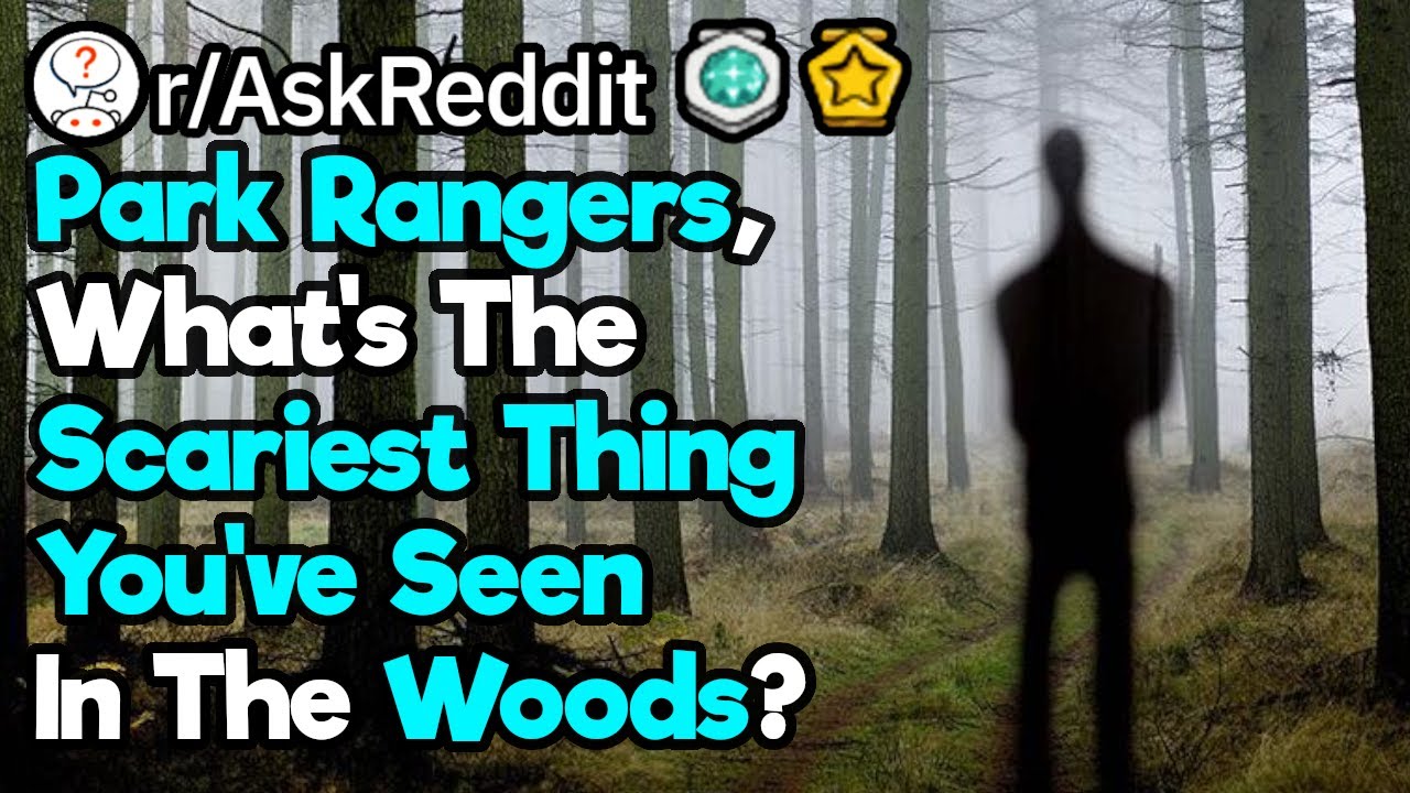 Park Rangers, What's The Creepiest Thing You've Seen In The Forest? (r/AskReddit)