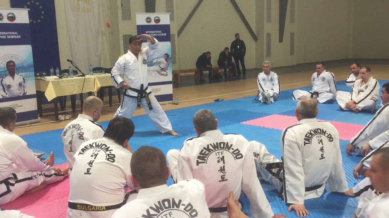 Tehnici de Bază  Kim Ung Chol |Taekwondo ITF Basic Tehnic Explanation| Bulgaria Seminar 2018