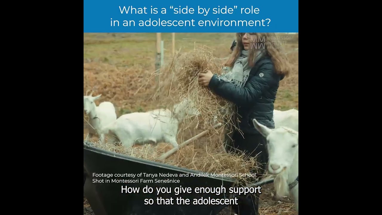AMI Montessori 12 18 Adolescent Orientation Course | Lesley: What is a side by side role?