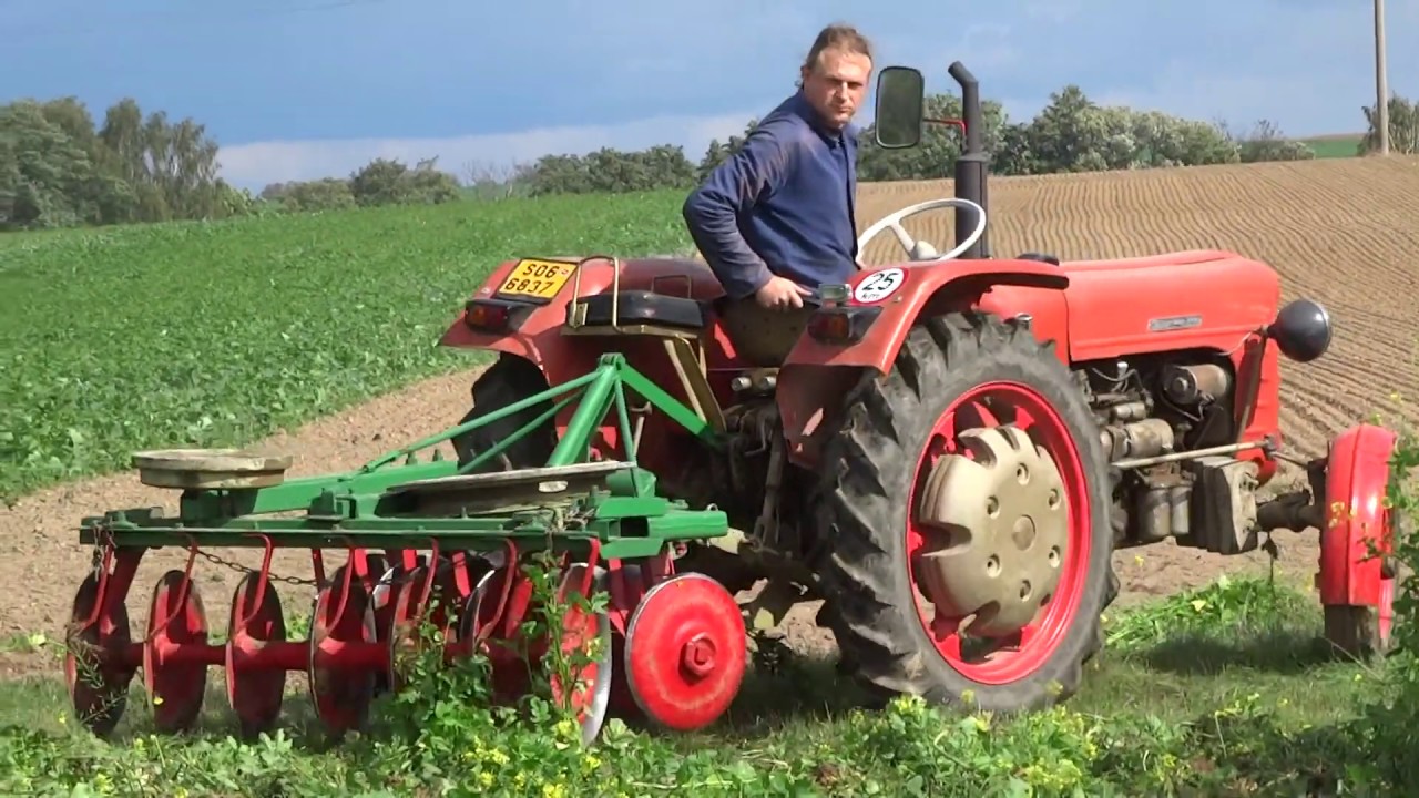 Zetor 3011 diskler, zelené hnojení