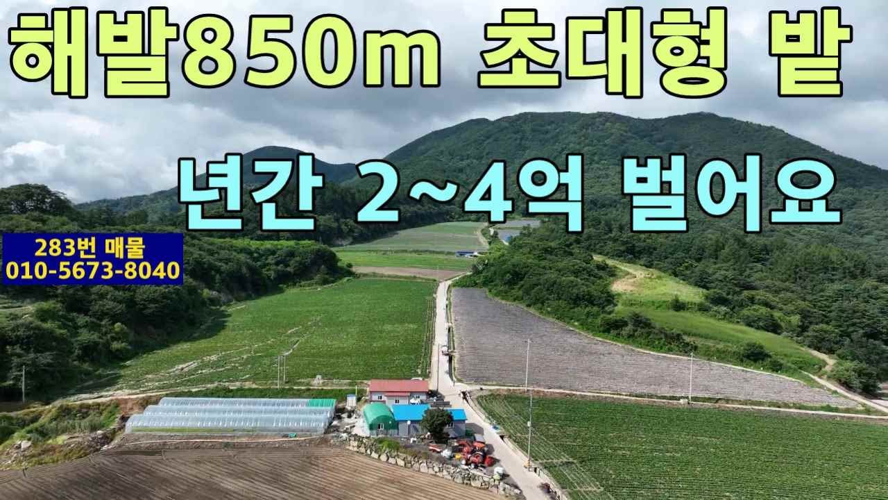 (283번 매물)해발850m.고랭지 야채농사로 년간2~4억 수익.초대형밭.스마트팜부지나 목장용지 가능.버섯재배사 짓고 지붕에 태양광설치.숙박,체험,카페를 겸한 관광농원 부지용.