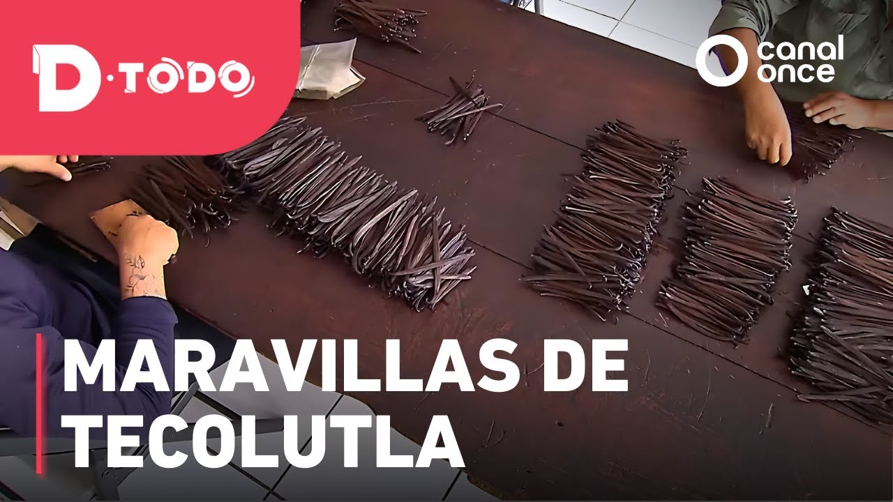 D Todo - Maravillas de Tecolutla (12/05/2025)