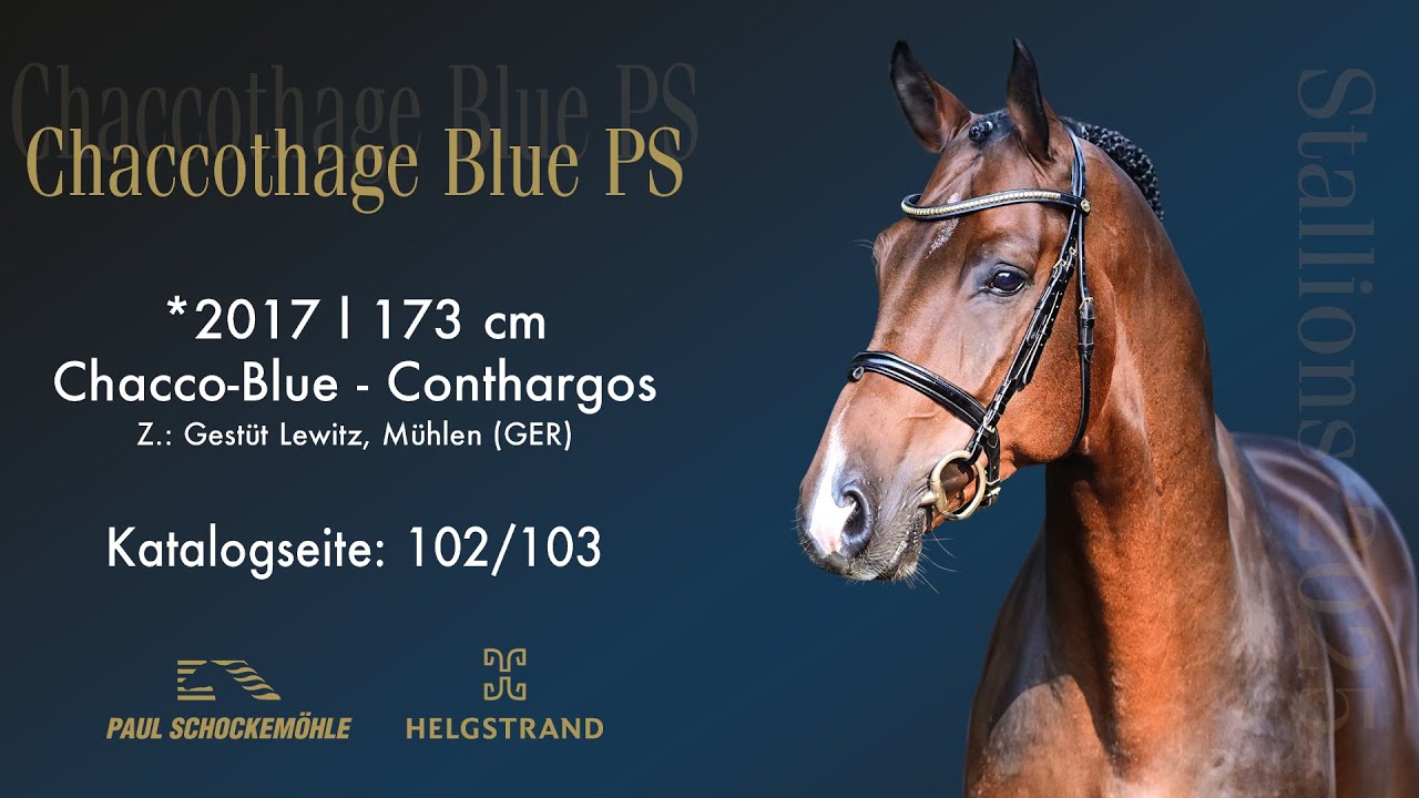Chaccothage Blue PS