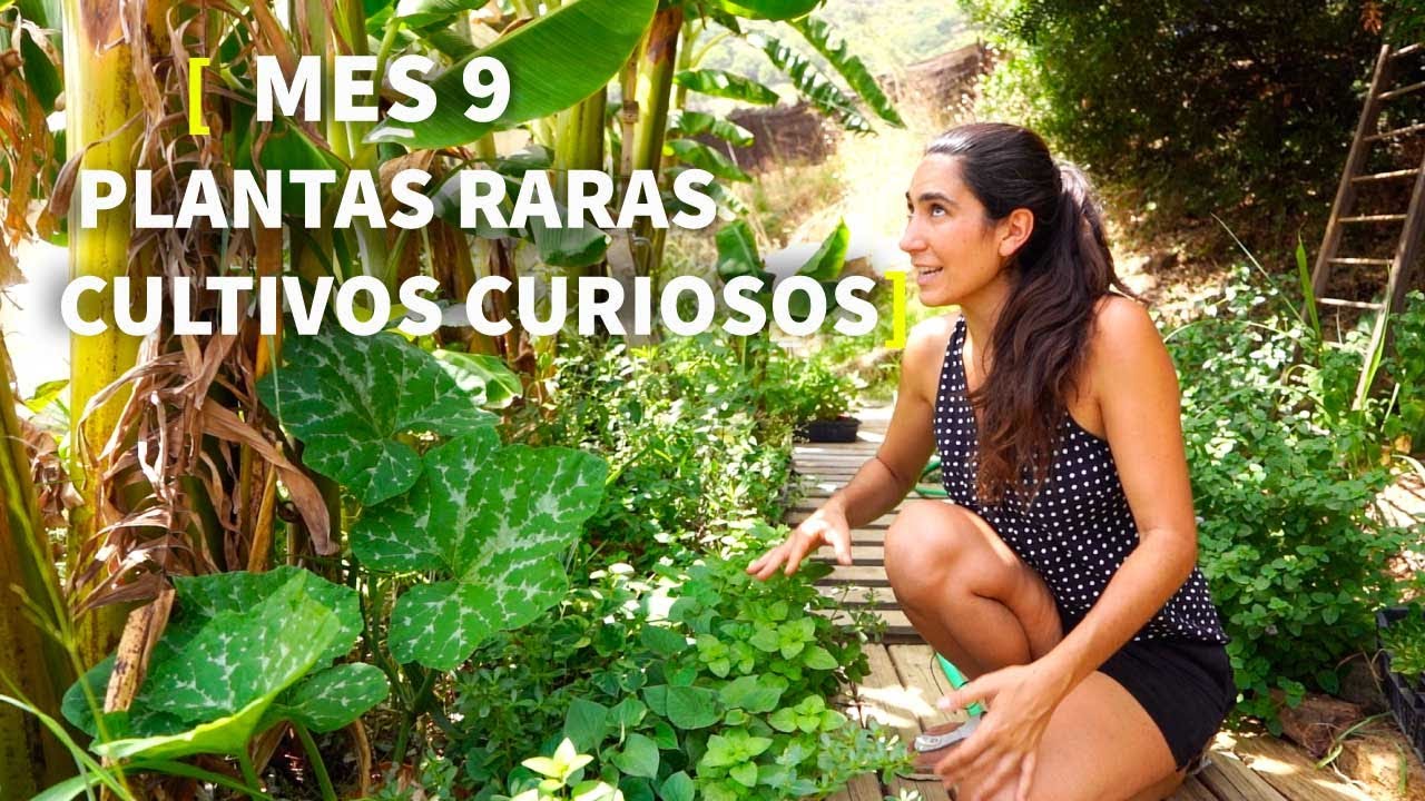 VERANO TOUR 🌿 [Cumpliendo un SUEÑO]