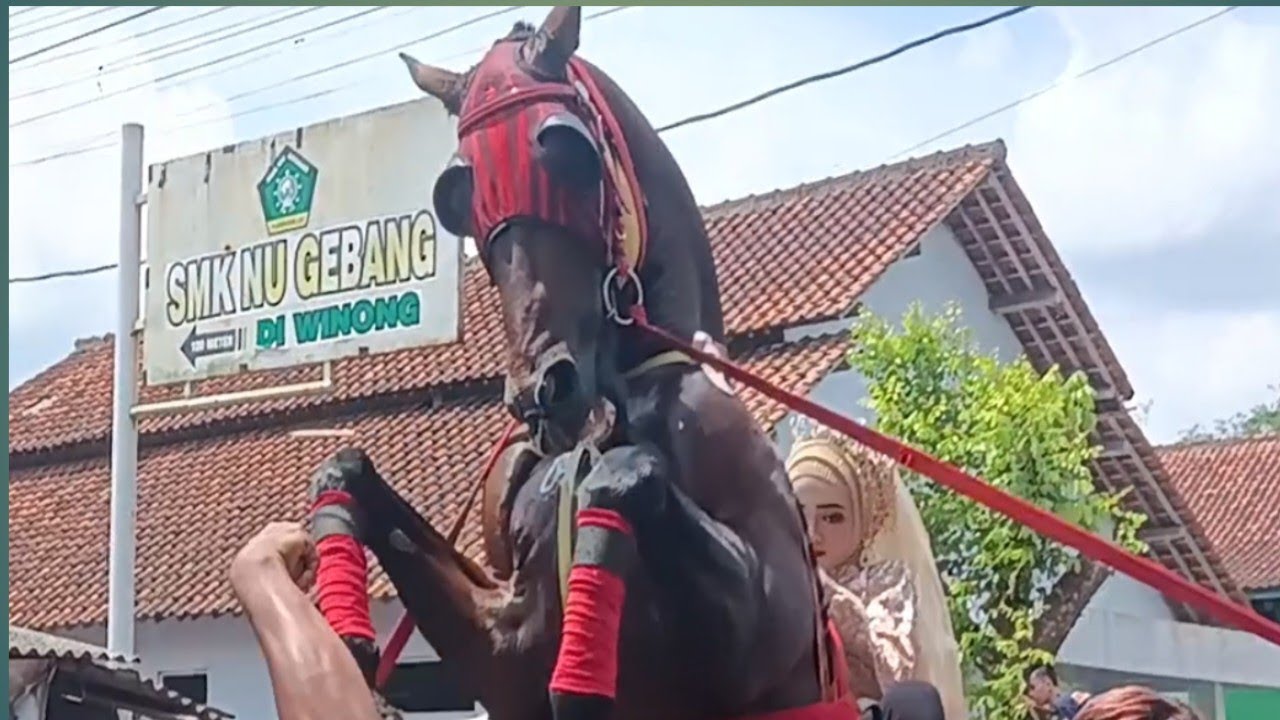 ARAK ARAKAN LHOTMIL QUR'AN DESA LONING KEMIRI PURWOREJO DENGAN DIMERIAHKAN 29 KUDA PILIHAN