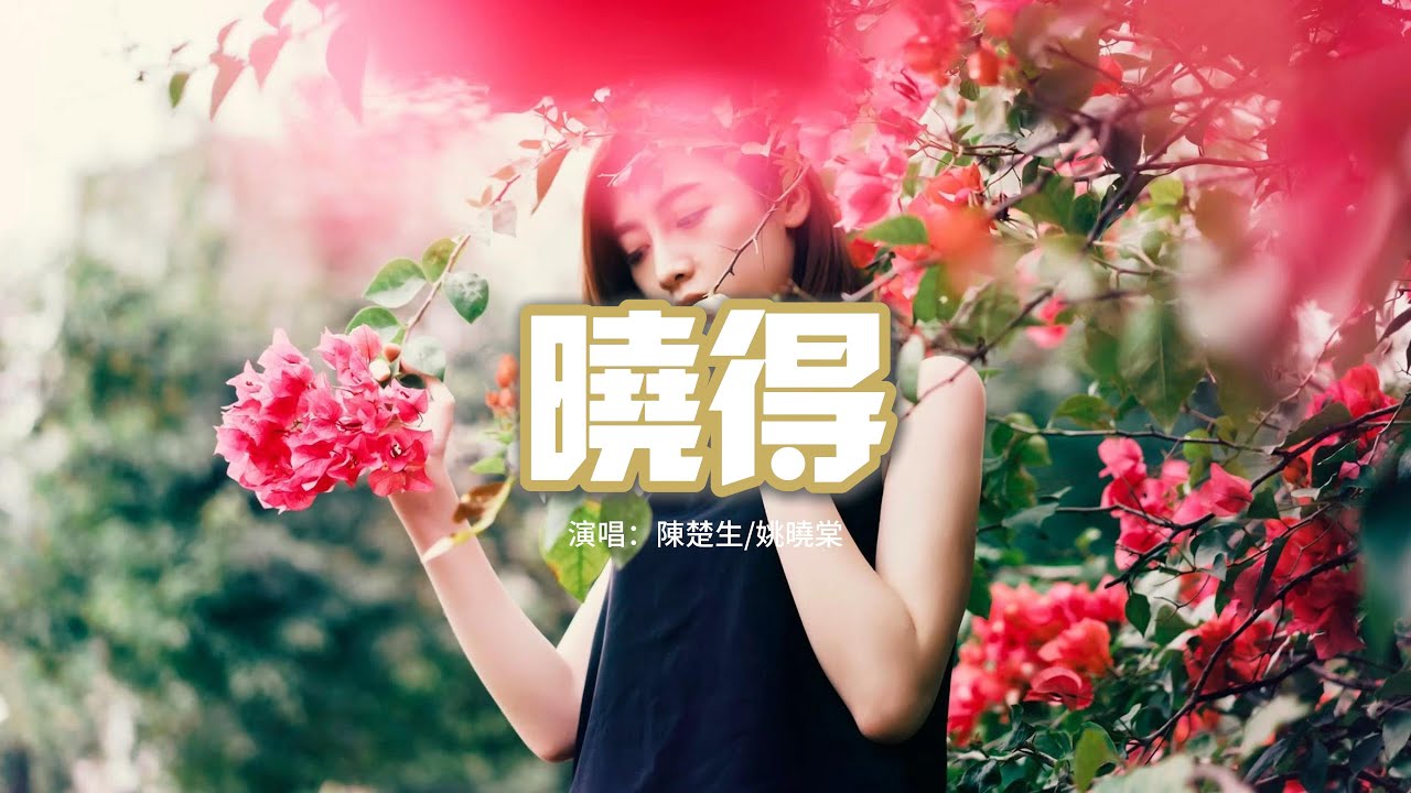 陳楚生/姚曉棠 - 曉得『只不過見不得你沉默不語，暫時裝好心，就連你的過去我都覺得和我有關係。』【動態歌詞MV】