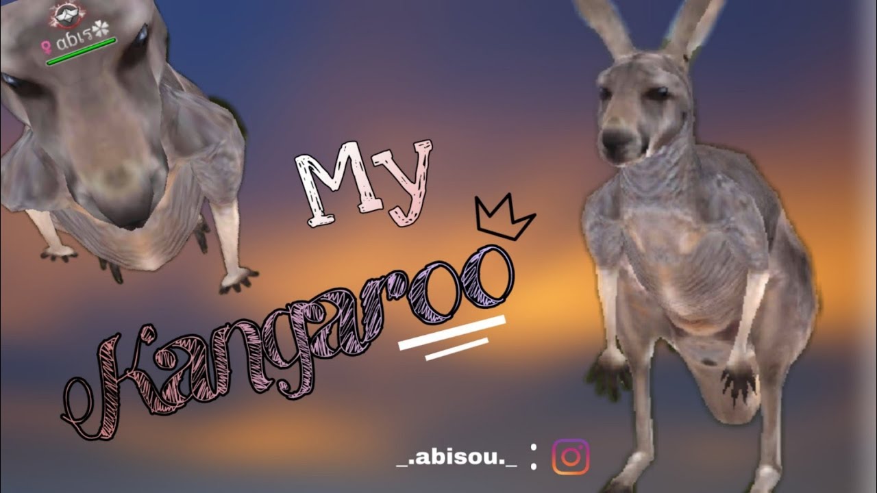 WildAnimalOnline - My kangaroo✔
