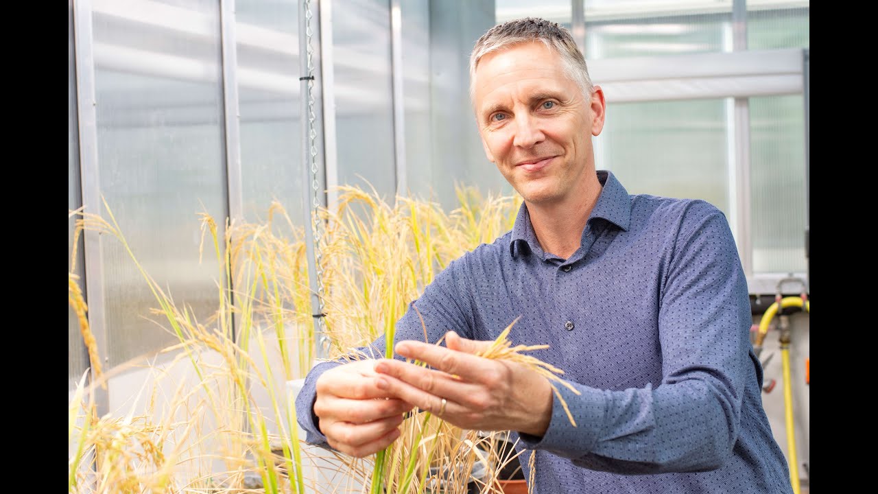 Jonne Rodenburg's Inaugural Professorial Lecture