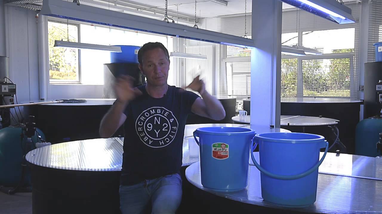 Modern Koi Blog #141 - Pelletgr&ouml;&szlig;e beim Koifutter