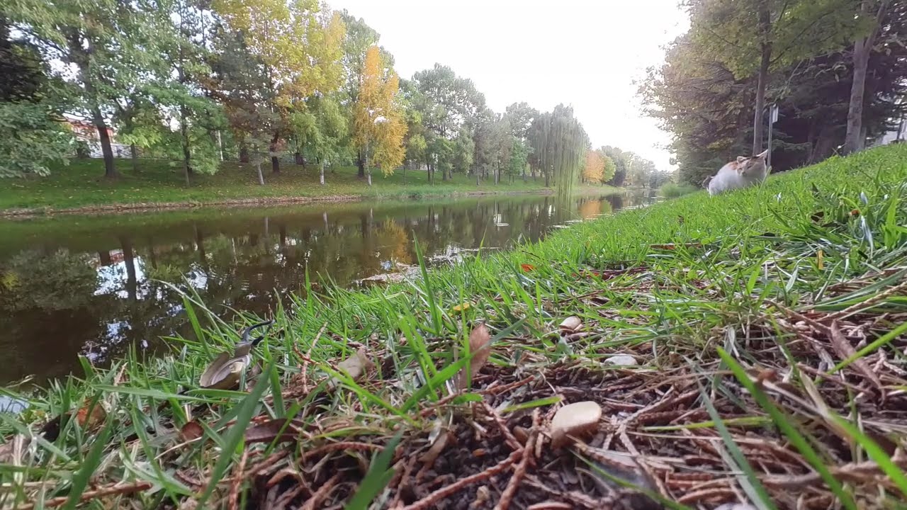 Eskisehir Vivaldi Autumn