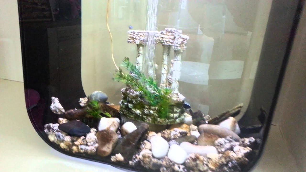 Biorb Life 60