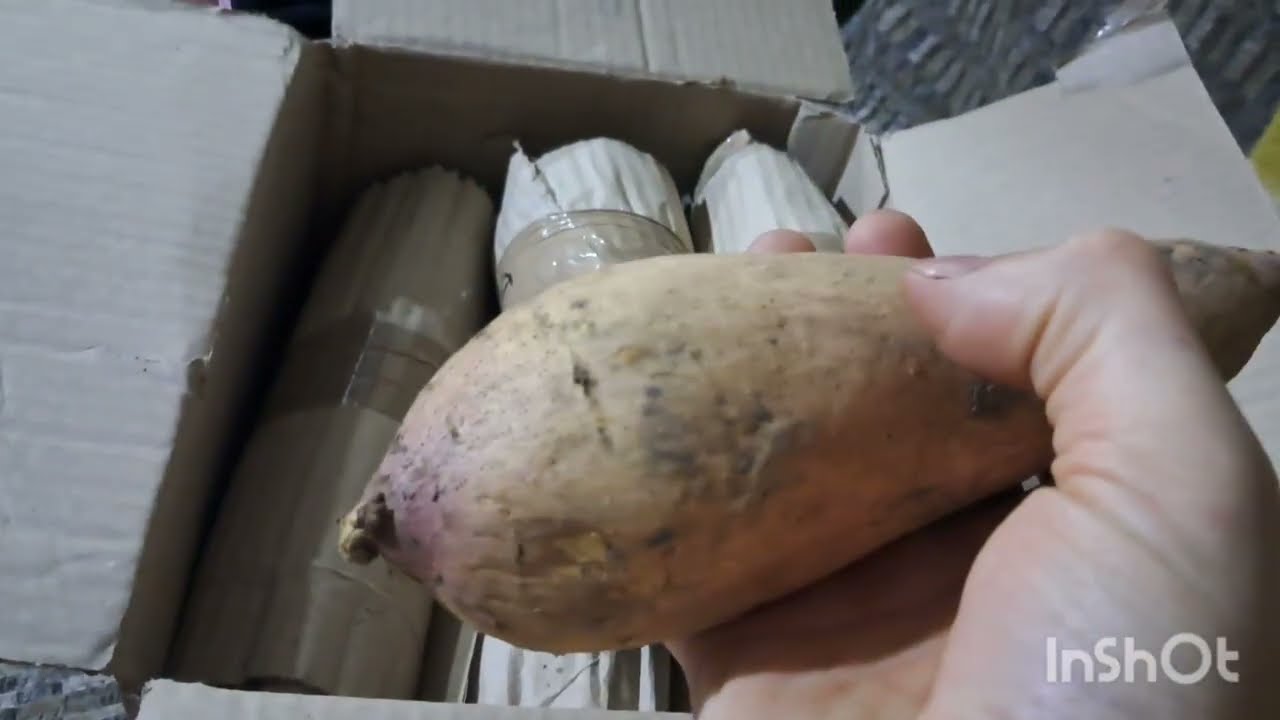 ВСІХ ЗАМІТАЄ А НАС ЗАЛИВАЄ! АНОМАЛІЯ ПОГОДИ НА ВУЛИЦІ! ПРИЇХАЛА ПОСИЛКА! МОЇ ЗАКУПИ! РАЙСЬКІ УМОВИ