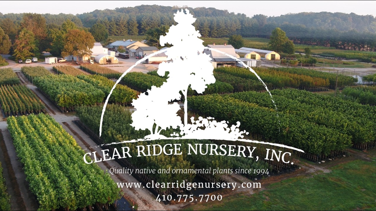 Tour Clear Ridge Nursery - Wholesale supplier of Native Trees and Shrubs