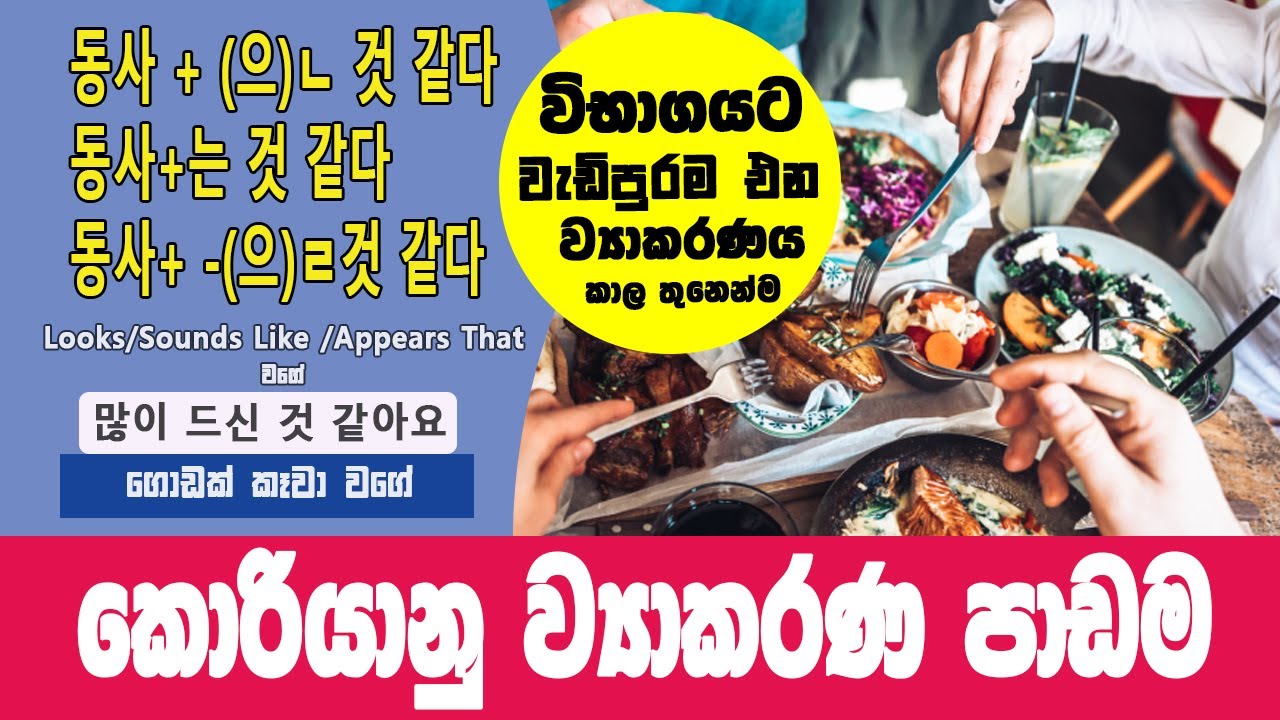 형용사/동사+-(으)ㄴ/는/(으)ㄹ것 같다 ව්‍යාකරණය | Looks/Sounds Like | @bogahapelessehamuduruwo