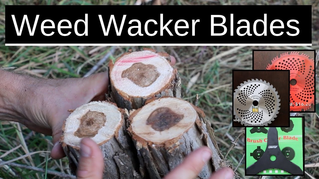 Which Trimmer Brush Blade is Best?  Let's find out!