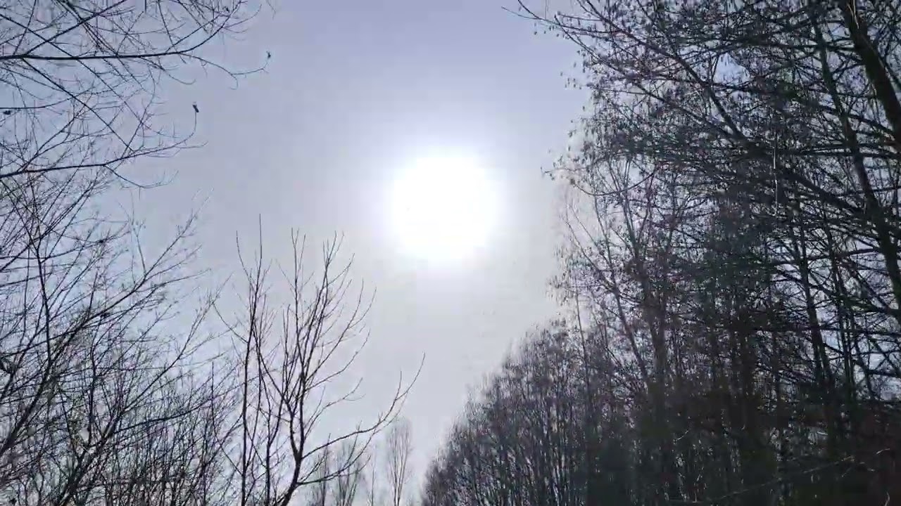 sonniger Spaziergang