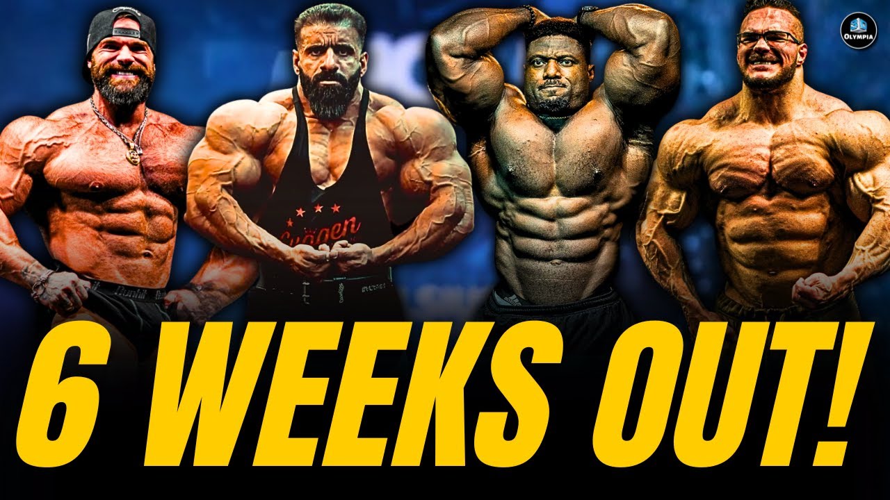 ARNOLD CLASSIC 2026 OPEN & CLASSIC | ОБНОВЛЕНИЕ ИНФОРМАЦИИ О ФИГУРЕ ЗА 6 НЕДЕЛЬ ДО ТУРНИРА❗