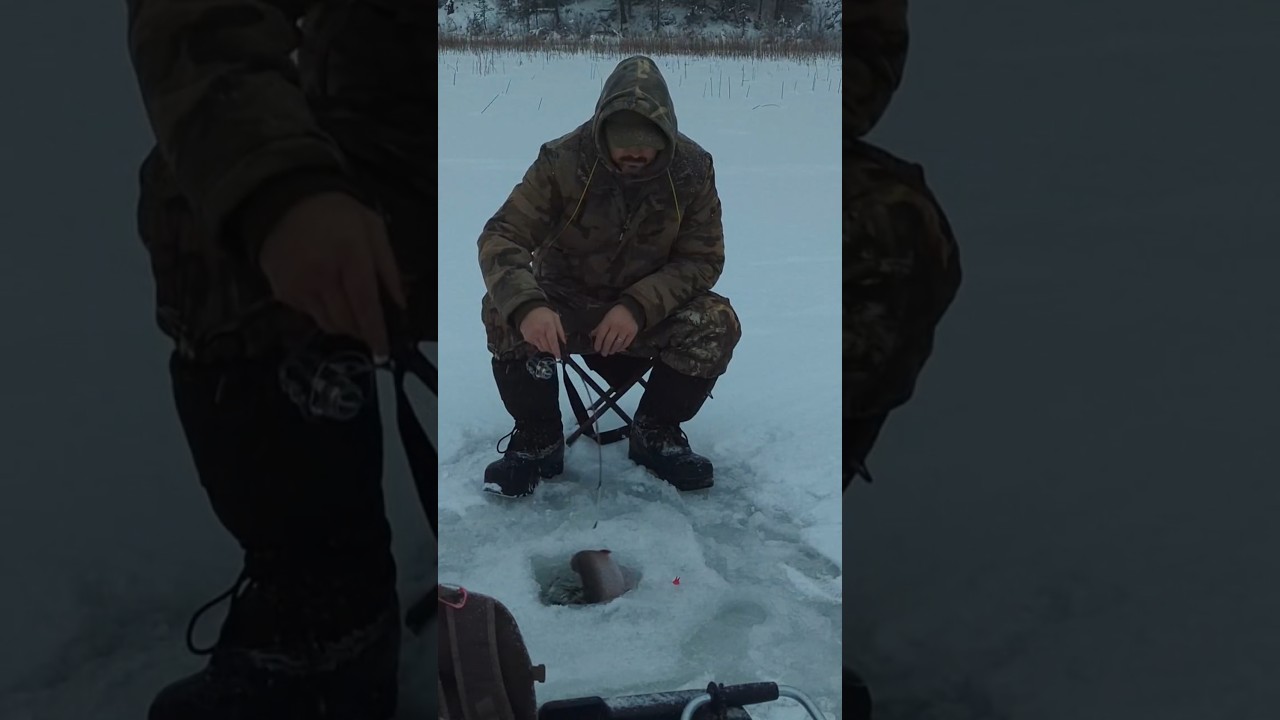 First light, First Ice..Chunky Brook Trout #fishing #icefishing #trout #britishcolumbia