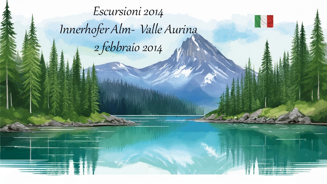 2014 5 Innerhofer Alm 2 febbraio 2014