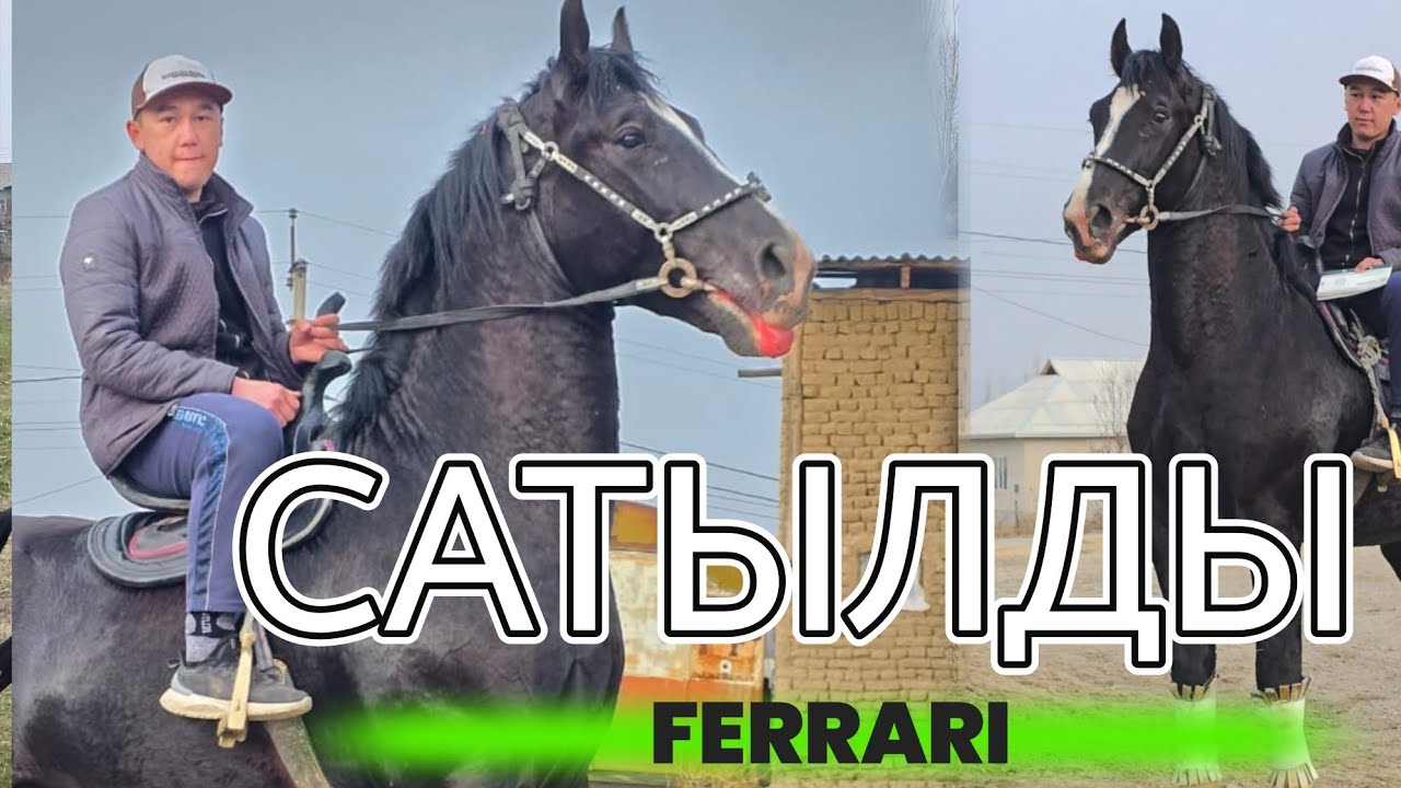 Атырылган ФЕРРАРИ
