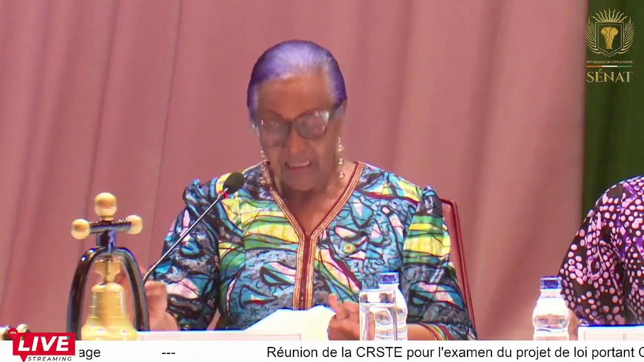 Réunion de la CRSTE pour l'examen d'un projet de loi présenté par le Ministre Bouaké Fofana.