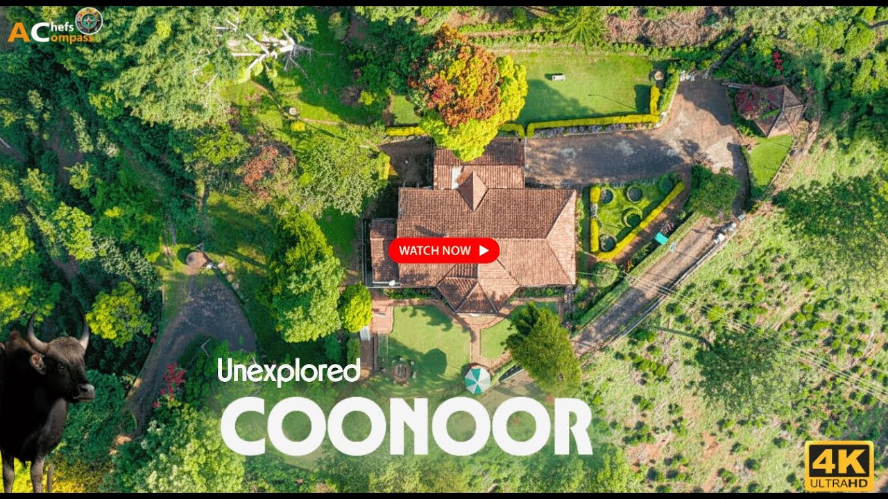 DAY 3 - TRAVEL TO MOST BEAUTIFUL UNEXPLORED COONOOR & TEA ESTATES | BISONS