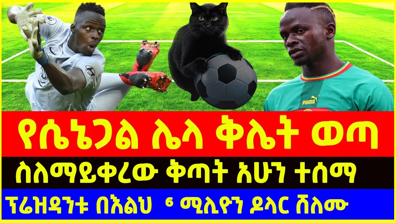 senegal  national team welcome cermony after afcon 2026 champions by beat Morocco | ሴኔጋል