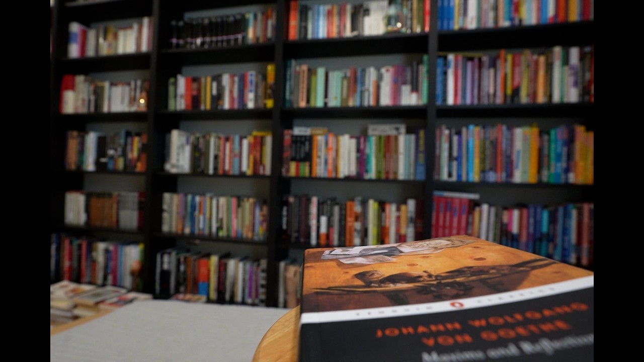 Tour the 1,000+ Book Library of a 1M+ Subs Youtuber, Polymath, Chess Expert and Premiere Instructor