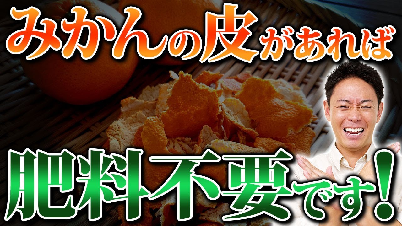 みかんの皮で土が変わる！？実質0円でできる土壌改良【家庭菜園 ガーデニング 土壌 微生物】