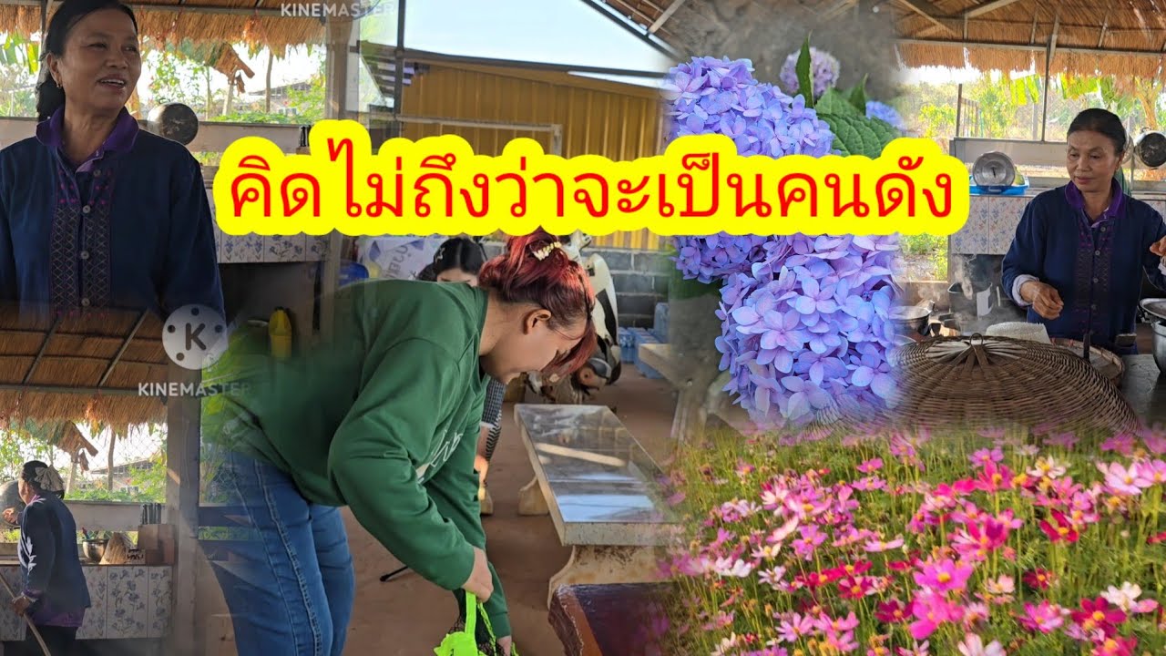 ของเล่นใหม่ที่นาแอดมินแอน App เต๋อ ได้ปลาตัวใหญ่มาจากไหน