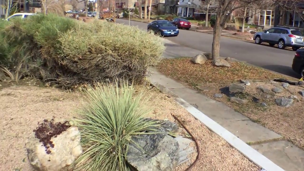 Denver Home For Rent - 2 Bed 1 Bath - by Property Manager in Denver