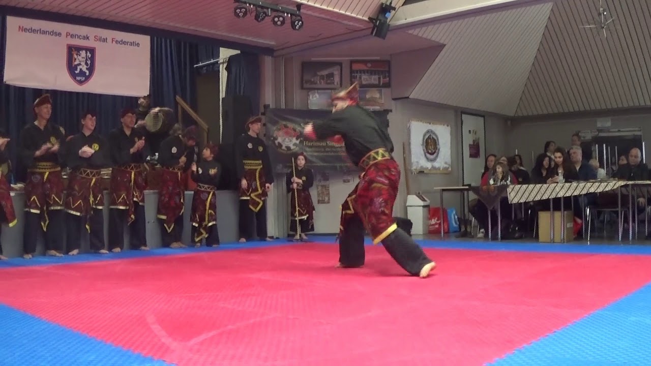 Pencak Silat Jokotole Haarlem Demo 2020