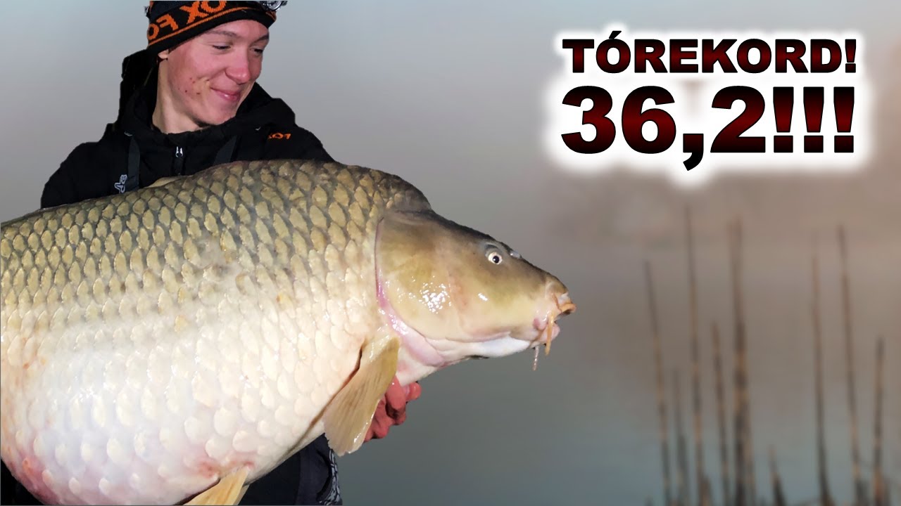 36 KILÓS PONTYOT FOGTAM!!!🐳❄️🌊 - Legendás pontyok nyomában (3.rész)⚡️