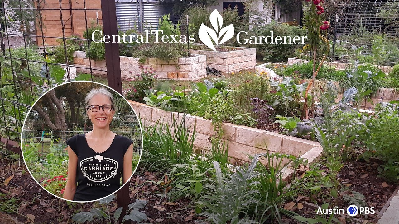 Permaculture Design: Raised Beds and Food Forest