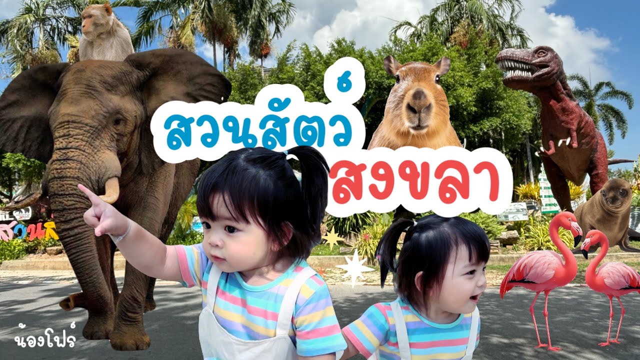 สวนสัตว์สงขลา โชว์ตื่นเต้น!! สนุกถูกใจ เจอสัตว์กี่ชนิดดด??ให้นับ!