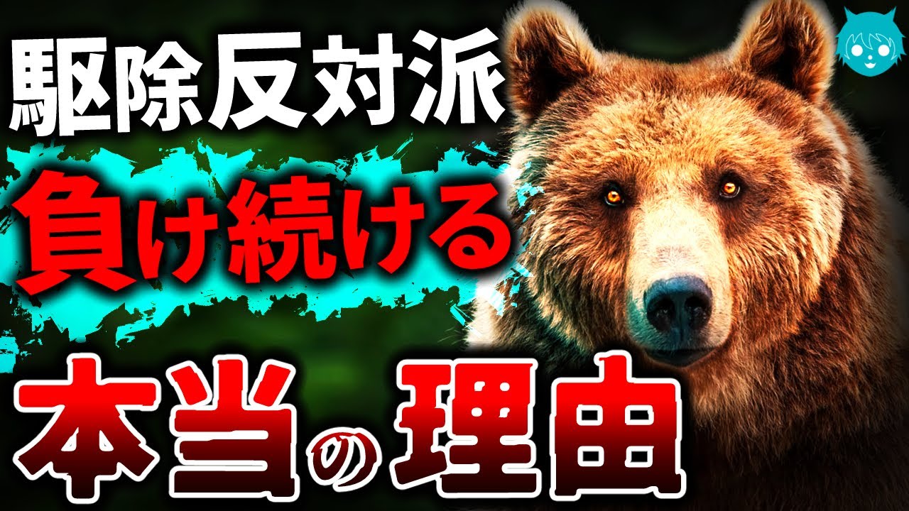 【解説】そりゃ通らんわ…クマ駆除反対派が勝てない本当の理由【熊襲撃】