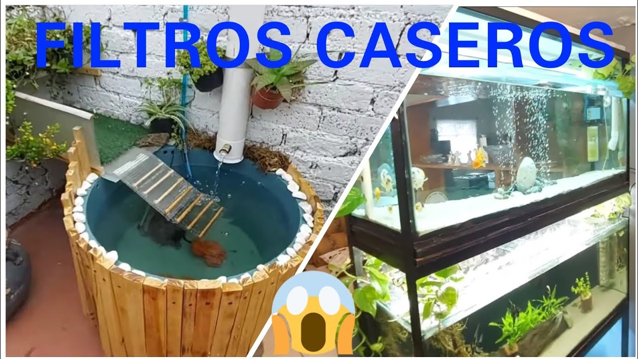 UN BELLO ESTANQUE Y DOS ACUARIOS CON SOLO FILTROS CASEROS ft MARIO BLOGS