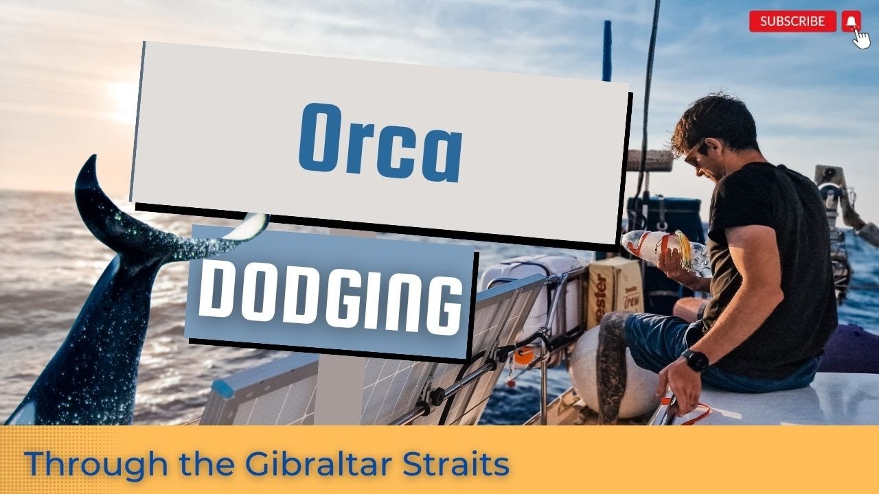 Dodging Orca Attacks at Sea