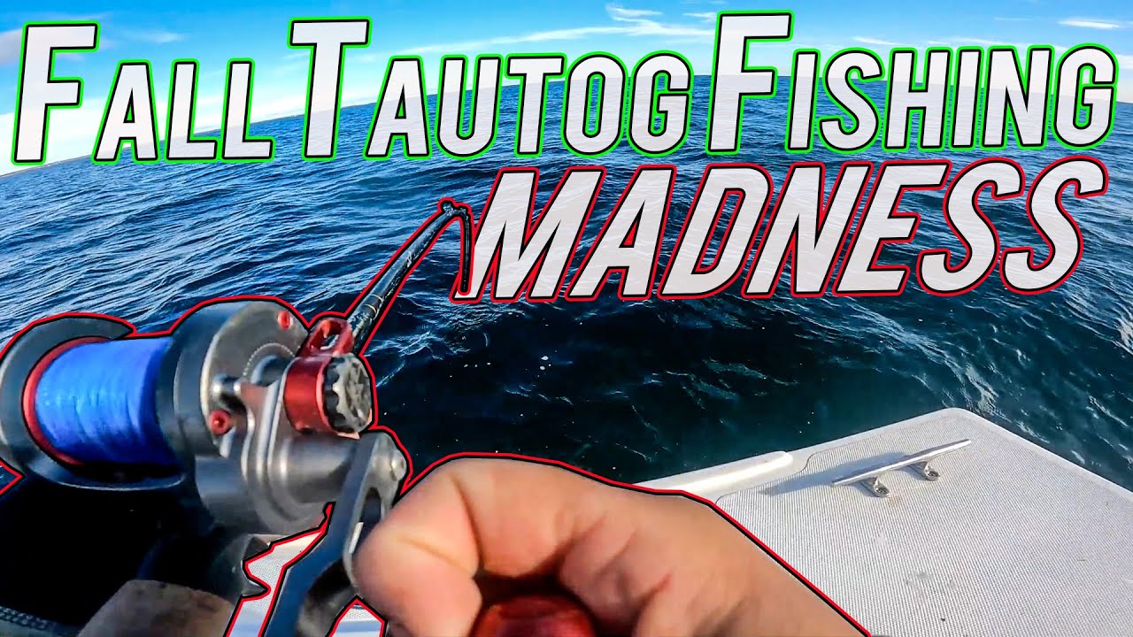 Tautog Fishing Rhode Island SLAY FEST ft  Sea Money Fishing and Capt  Blowhard (SASHIMI)