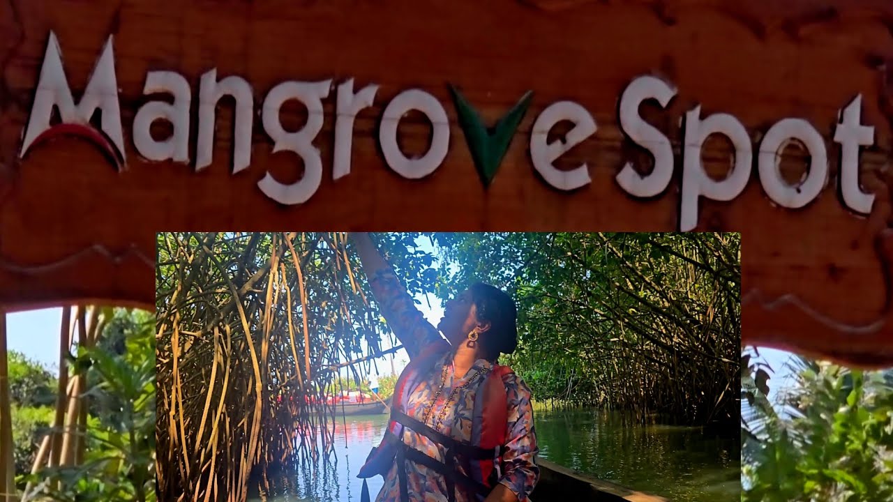 Paravoor mangrove forest/ Nedungolam/ kollam/ Kerala / India/ kerala tourism/ kerala tourist spot 